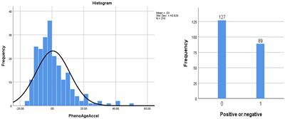 Factors influencing accelerated aging in patients with type 2 diabetes mellitus and coronary heart disease